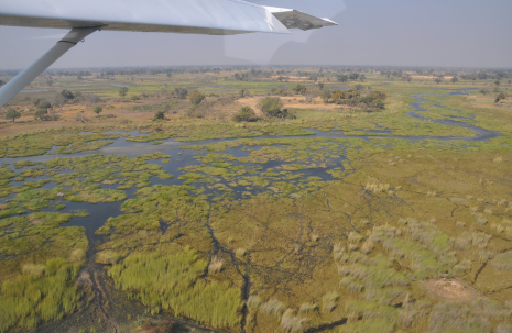 cross-country bush flying Namibia